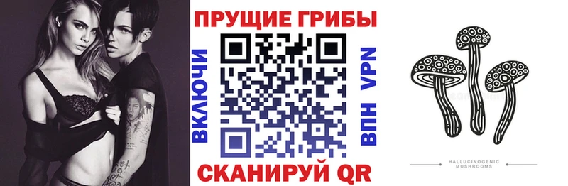 Псилоцибиновые грибы ЛСД  Сенгилей 